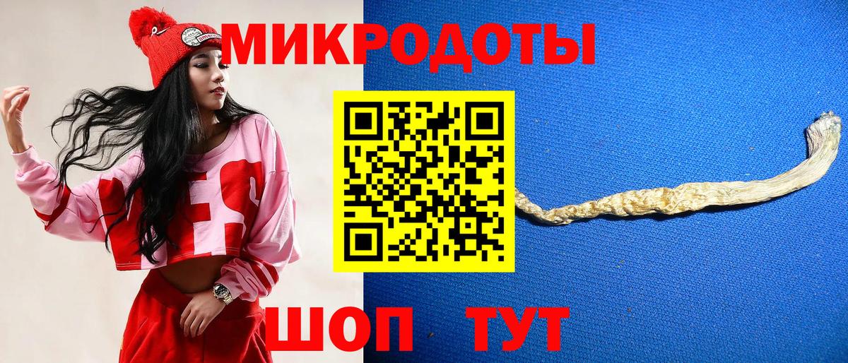 Галлюциногенные грибы Psilocybe  Вход с VPN  Обь 