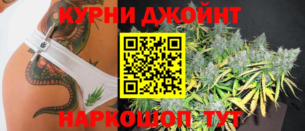 Каннабис конопля Обь